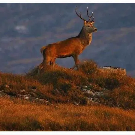 Shangri-la Large Family Townhouse Free Carpark