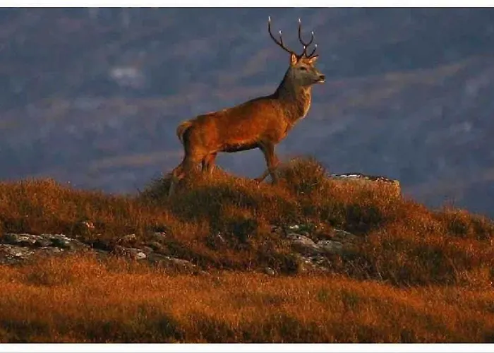 Shangri-la Large Family Townhouse Free Carpark